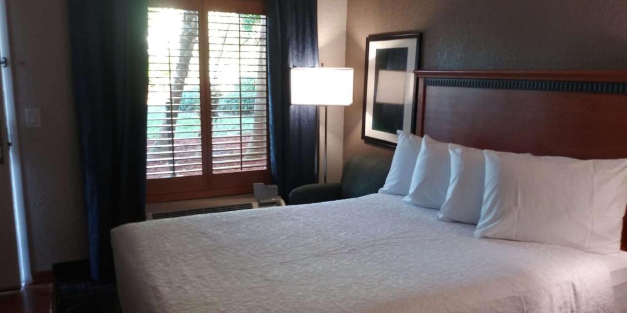 Surestay Plus Hotel By Best Western Clearwater Central Экстерьер фото